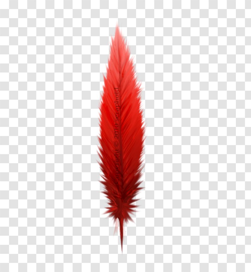 Leaf Northern Cardinal Feather - Red Transparent PNG