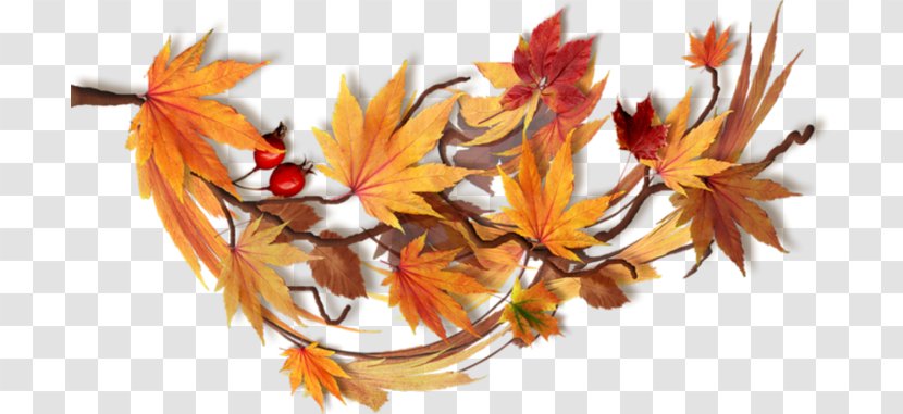 Autumn Maple Leaf Nature Calendar - Plant Transparent PNG