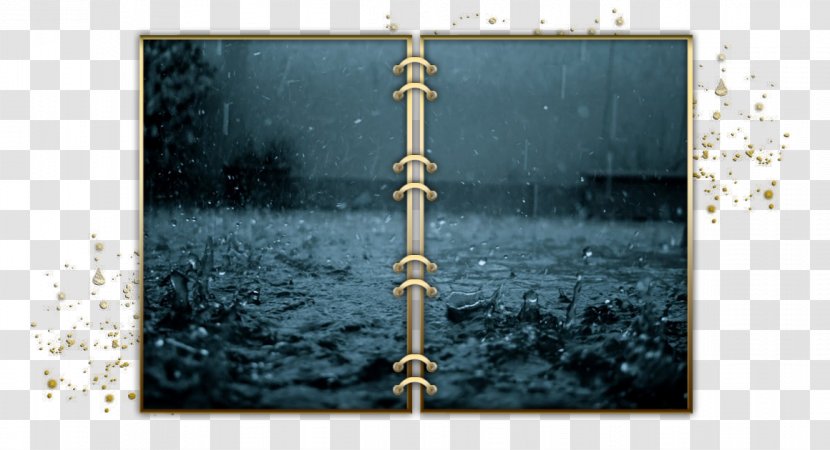 Rain Sri Lanka Galway Weather Drop - Symbol Transparent PNG