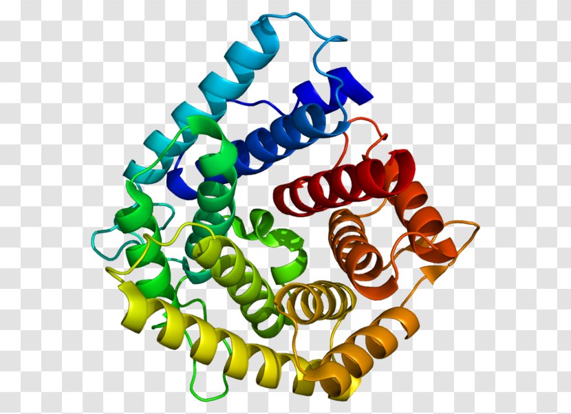 C4A Complement Component 4 System Protein Immunoglobulin M - Flower - Tree Transparent PNG