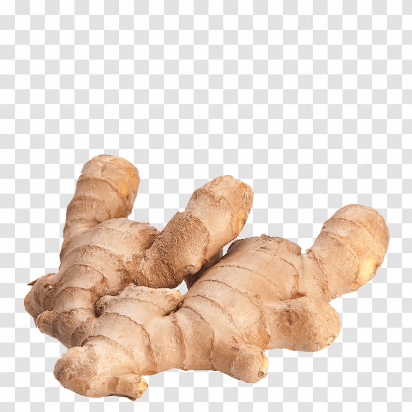 Ginger Rhizome Extraction Officinalis - Spice Transparent PNG