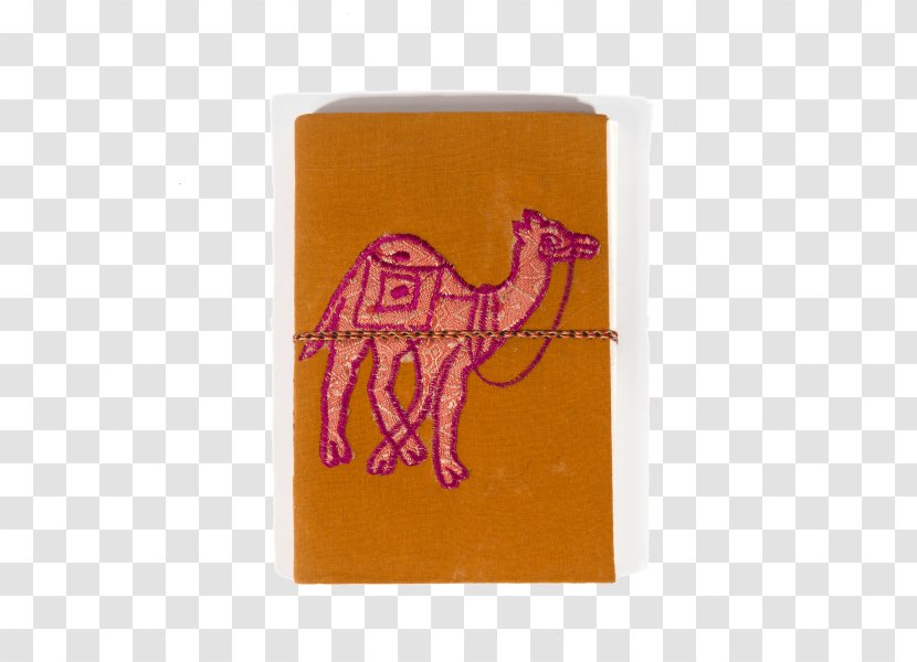 Paper Jewellery Notebook Clothing Accessories Dromedary - Treasure - Jewelry Transparent PNG