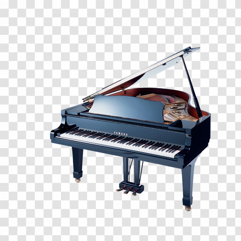 Piano Musical Instrument - Tree Transparent PNG