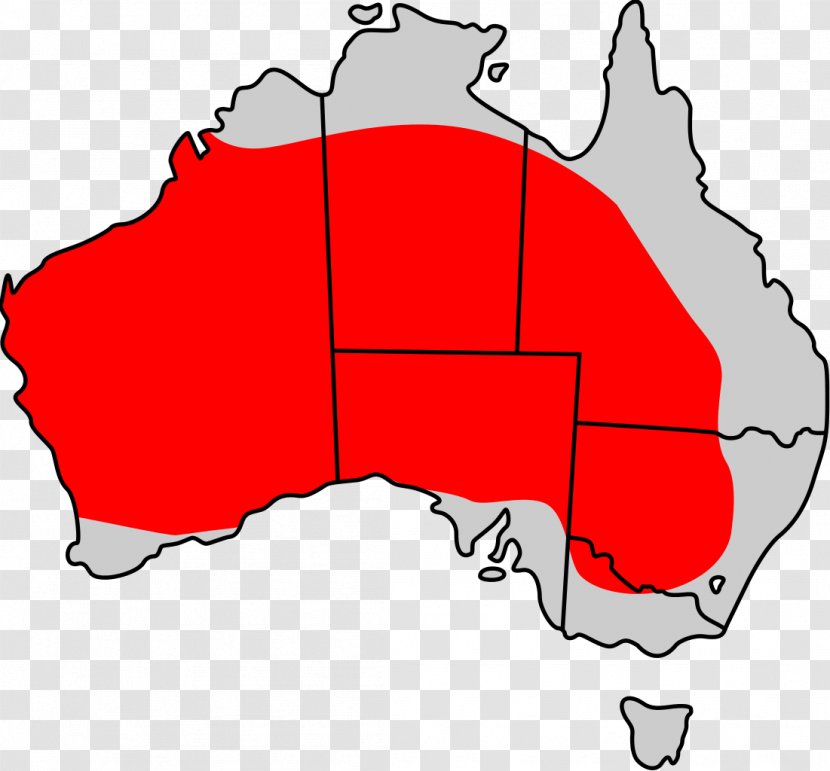 Red Kangaroo Macropodidae Eastern Grey Western - Heart - Distribution Transparent PNG