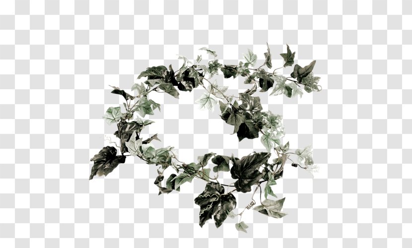 Common Ivy Artificial Flower Vine Ground-ivy Transparent PNG