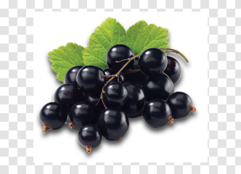 Blackcurrant Juice Redcurrant Berry Fruit - Grape - Juicy Grapes Transparent PNG