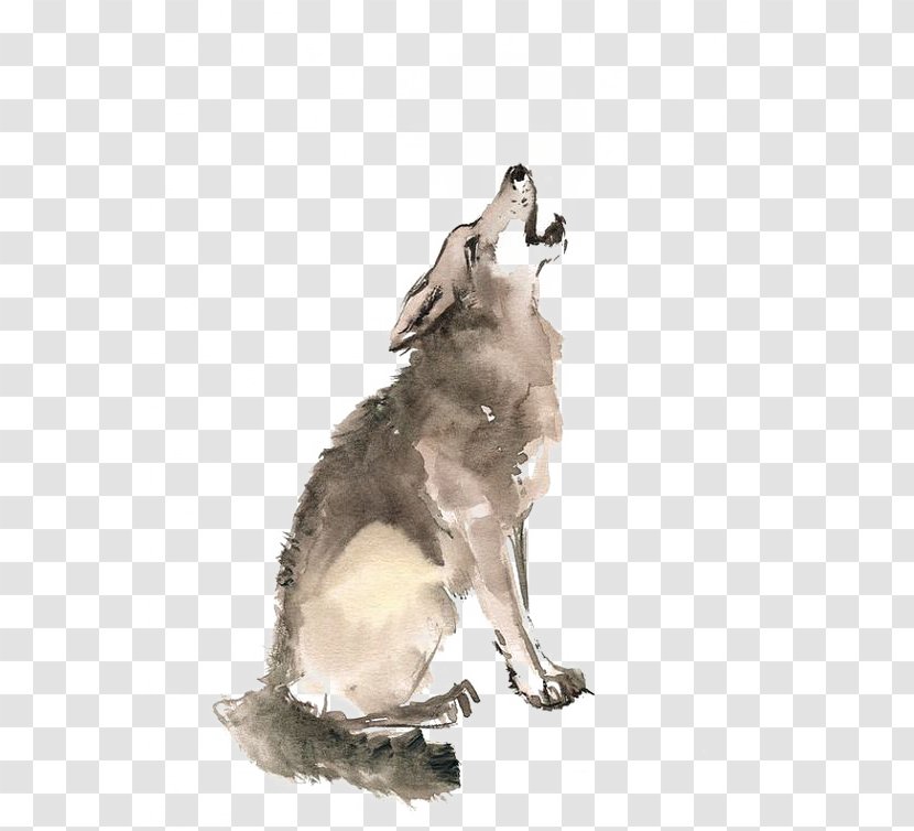 Wolf - Dog Like Mammal - Werewolf Transparent PNG