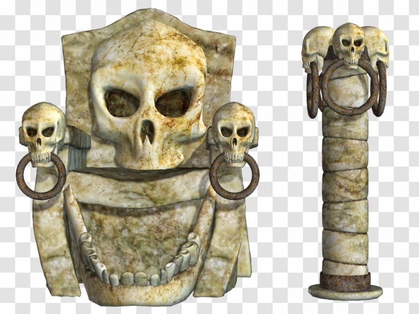 Human Skull Symbolism Bone Skeleton - Silhouette - Skulls Transparent PNG