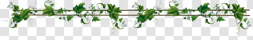 Vine Header Clip Art - Plant Stem - Grass Family Transparent PNG