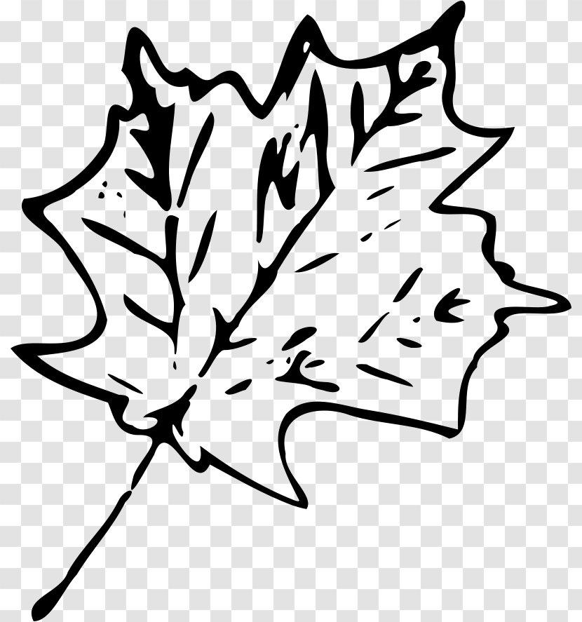 Maple Leaf Clip Art - Plant Transparent PNG
