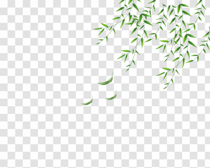 Leaf Willow Computer File - Flower - The Leaves Sway In Wind Transparent PNG