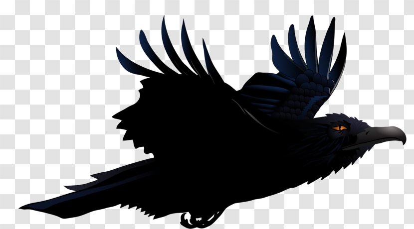Common Raven Clip Art Vector Graphics Image - Crowlike Bird - Crow Transparent PNG