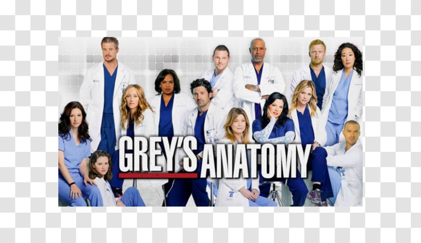Grey's Anatomy - Social Group - Season 14 AnatomySeason 11 Television Show 13Greys Transparent PNG