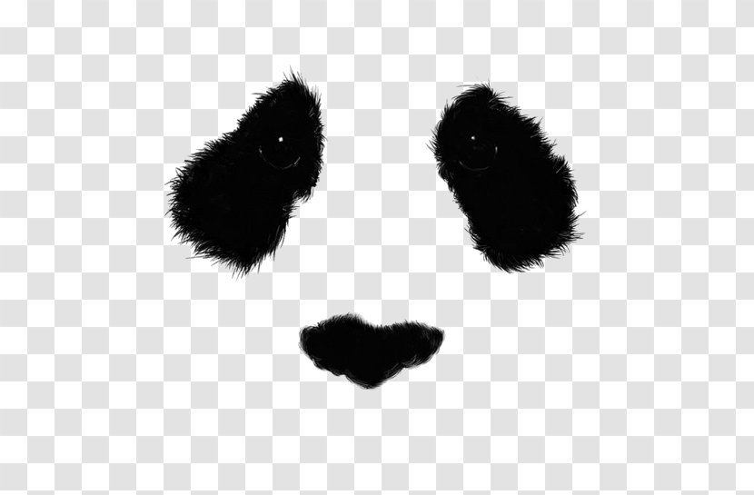 Giant Panda Drawing Bear Eye Art - Black And White - Panada Transparent PNG