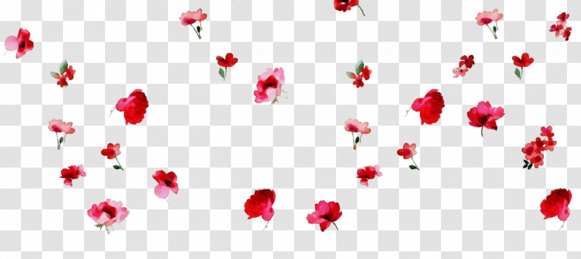 Floral Design Transparent PNG