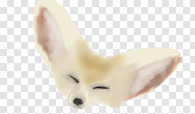 Dog Ear Fur Snout - Fennec Fox Transparent PNG