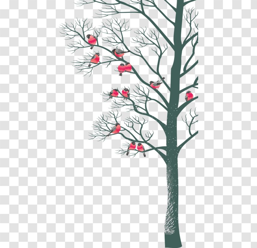 Bird Tree Branch Christmas - Petal - Birds And Trees Transparent PNG