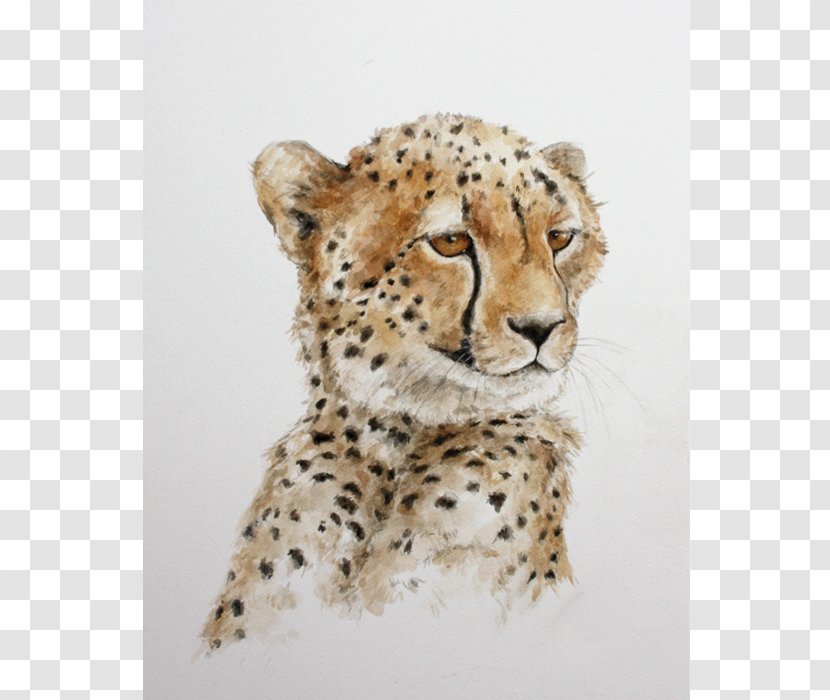 Cheetah Leopard African Wild Dog Cat Lion Transparent PNG