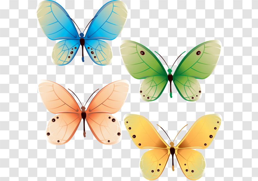 Butterfly Vector Graphics Graphic Design - Royaltyfree Transparent PNG