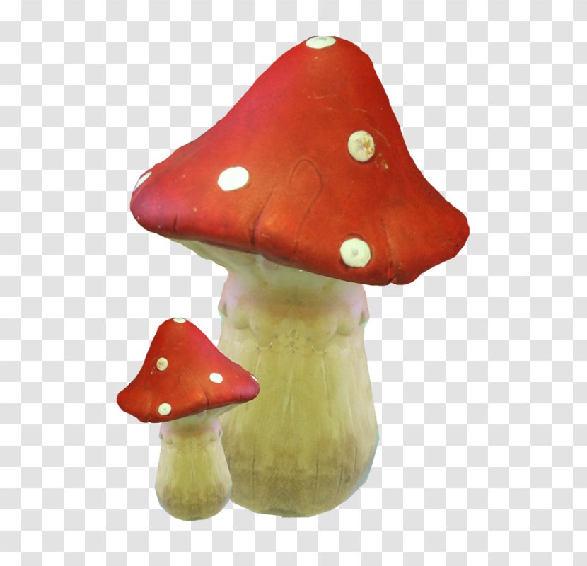 Drawing Fungus Mushroom Amanita Muscaria - Information Transparent PNG
