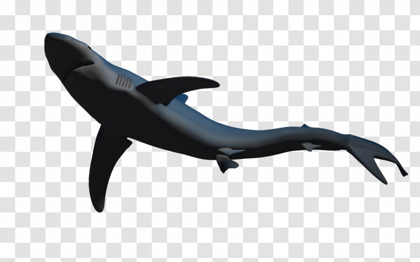 Shark Fish Dolphin 3D Computer Graphics - Whales Dolphins And Porpoises - Marine Image,dolphin Transparent PNG