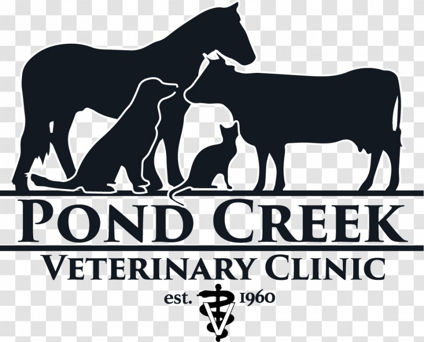 Cattle Horse Logo Pet Veterinarian - Like Mammal Transparent PNG