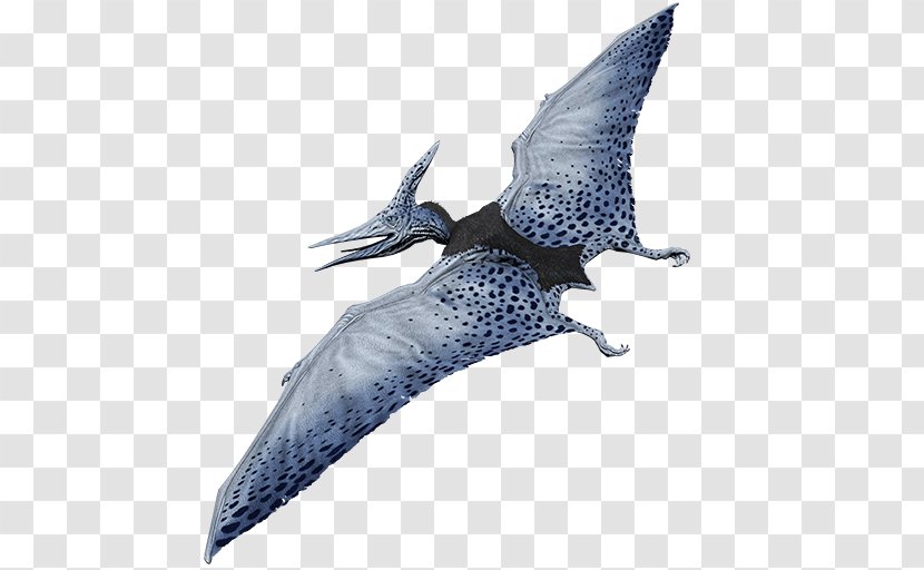Pteranodon Primal Carnage: Extinction Triceratops - Dinosaur Transparent PNG