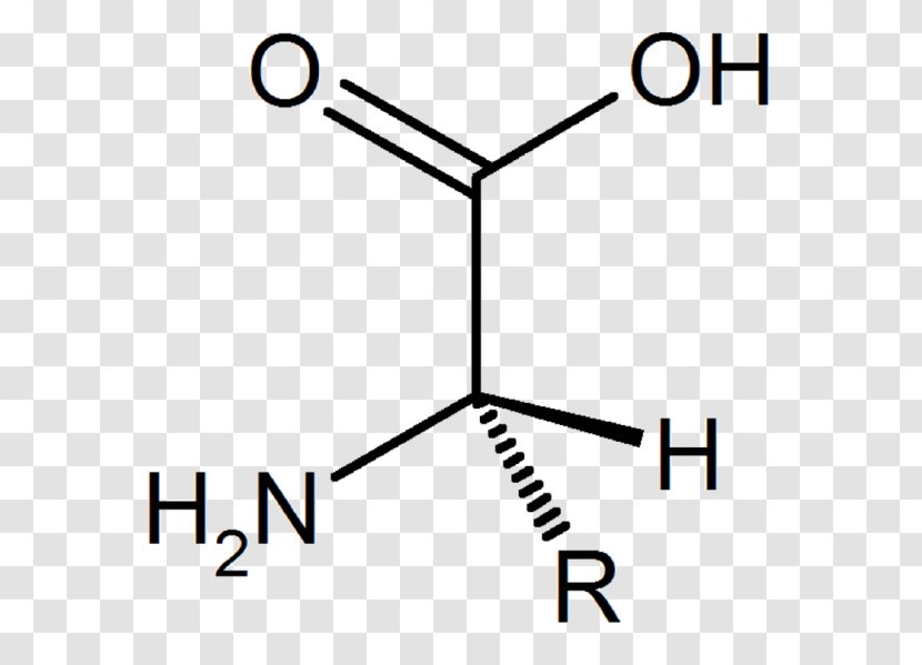 Carboxylic Acid P-Toluic Benzoic Phosphoric - 3nitrobenzoic - Amino Transparent PNG