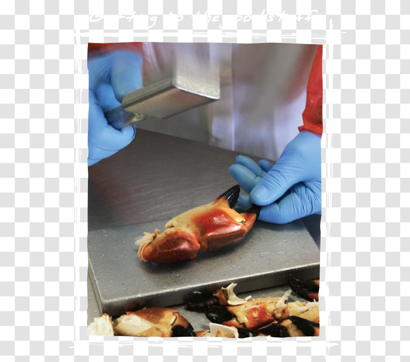 Cuisine Shoe - Animal Source Foods - Crab Meat Transparent PNG
