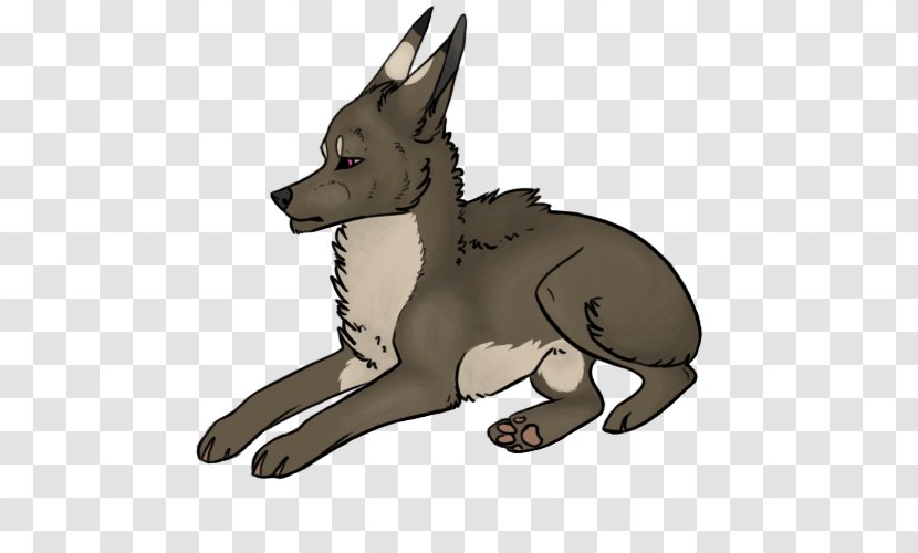 Dog Breed Macropodidae Snout Cartoon - Mammal Transparent PNG