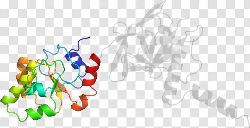 Line Organism Clip Art - Mycoplasma Trichome Transparent PNG