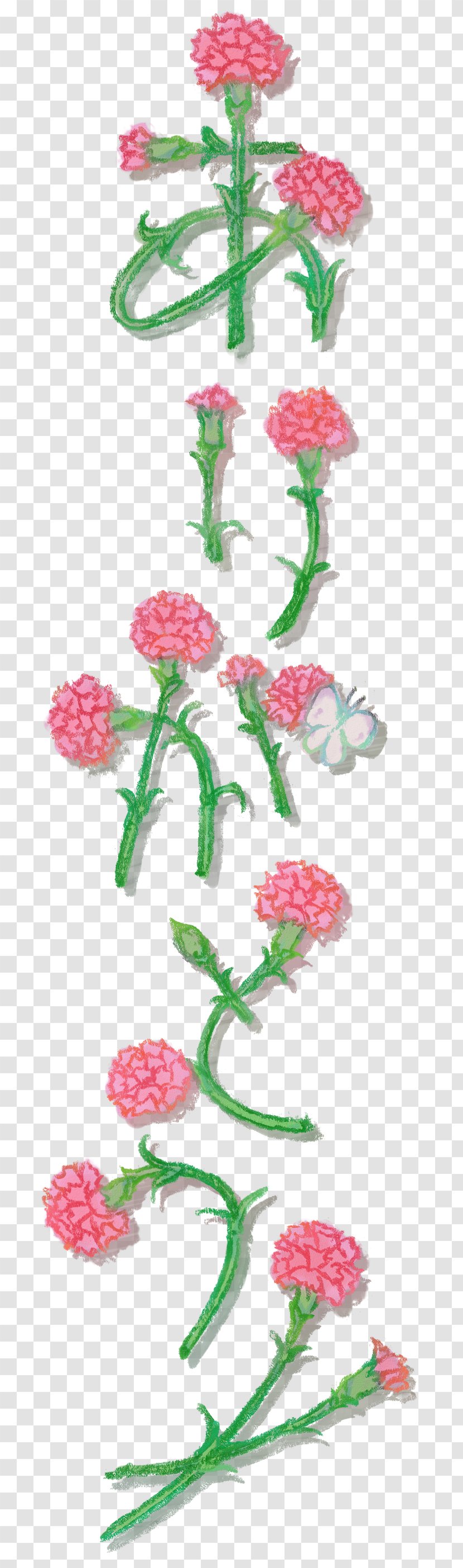 Book Illustration Horisontal Og Vertikal Skrift I Øst-Asia - Pink - Carnation Transparent PNG