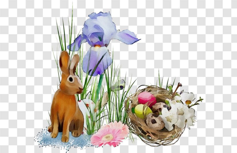 Easter Bunny - Plant - Wildflower Crocus Transparent PNG