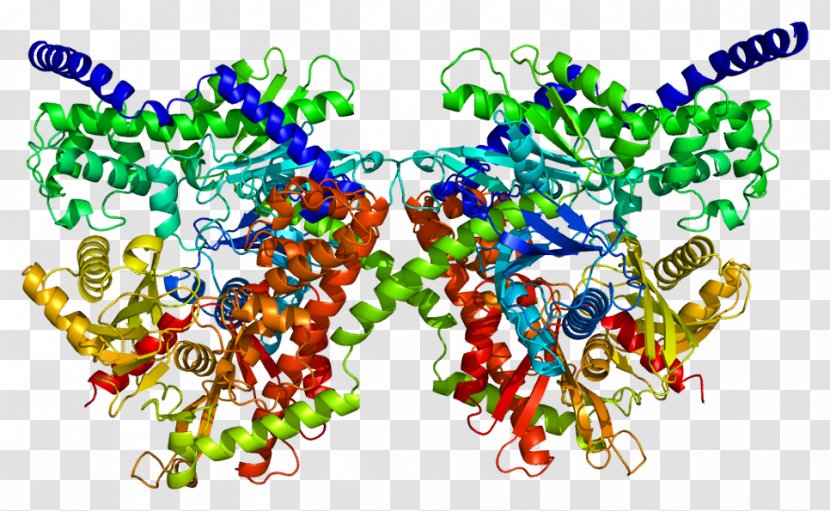 HK1 Hexokinase Deficiency Gene Enzyme - Disease - Cytokine Transparent PNG