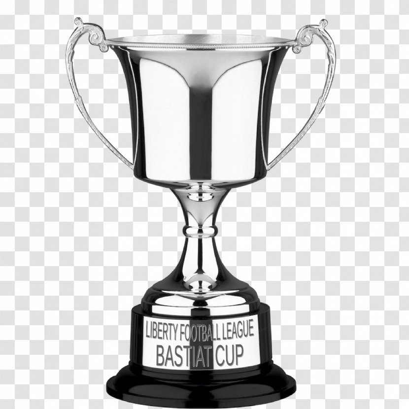 Trophy Cup Award Medal D And G Trophies Ltd - Tableware Transparent PNG