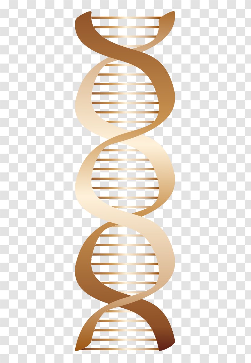 DNA Nucleic Acid Clip Art - Genetics Transparent PNG