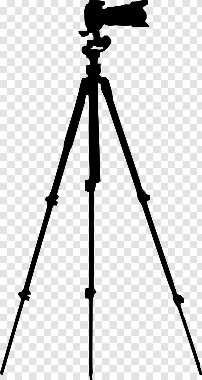 Photographic Film Camera Tripod Photography - Accessory - Monstera Transparent PNG