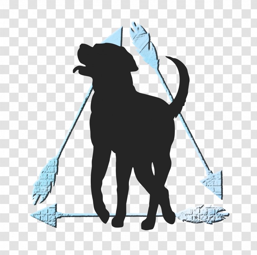 Cat Dog Pet Mammal Leash - Journey Transparent PNG