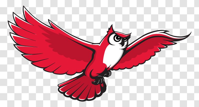 Keene State College Owls Men's Basketball Women's Harford Community - Sheffield Wednesday Transparent PNG