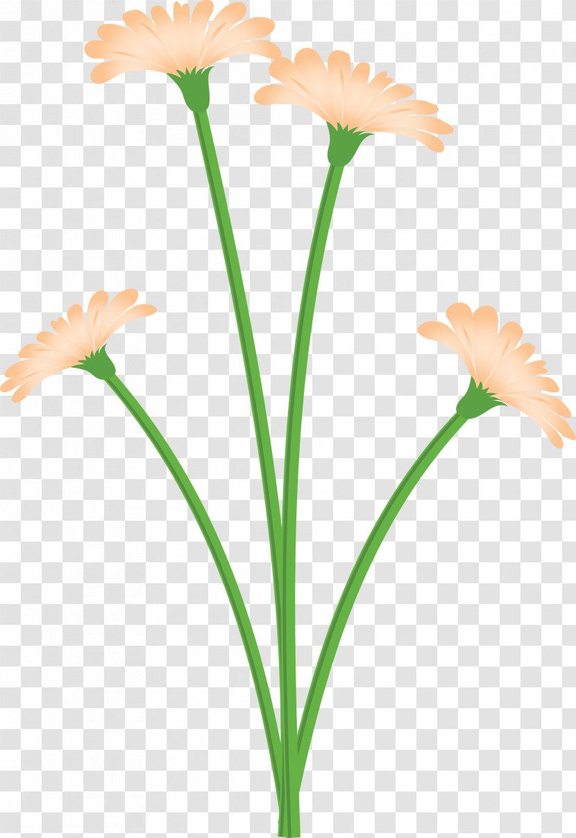 Dandelion Flower Transparent PNG