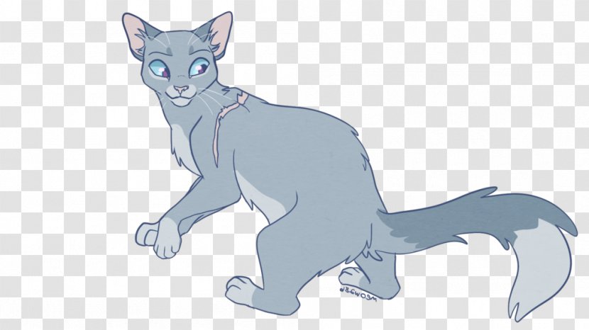 Kitten Whiskers Warriors Cat Forest Of Secrets - Paw Transparent PNG