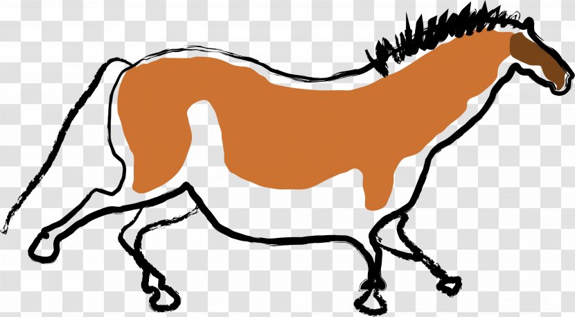 Foal Mane Stallion Mare Colt - Organism - Mustang Transparent PNG