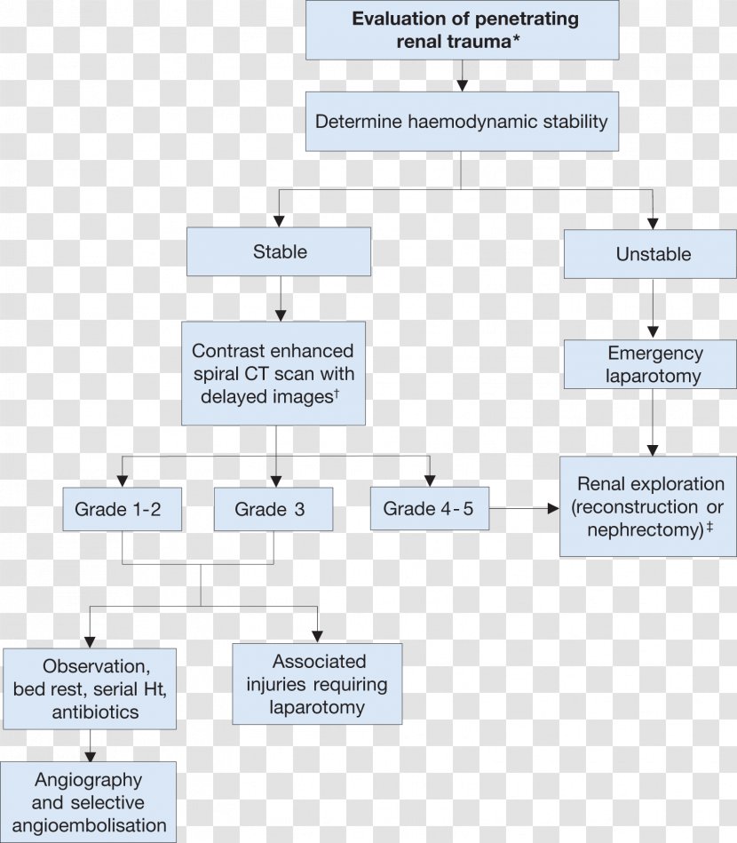 Document Line Organization Angle - Diagram Transparent PNG