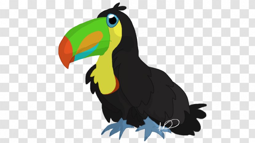 Draw Birds Toucan Parrot Drawing - Piciformes Transparent PNG