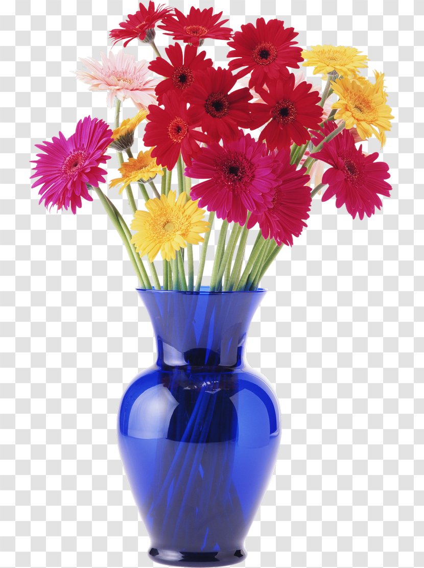 Vase Flower Psd Clip Art - Daisy Family Transparent PNG
