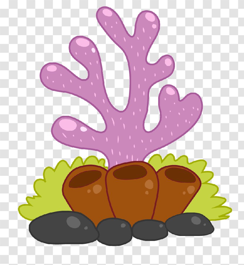 Clip Art Image Cartoon Coral Drawing - Can Stock Photo - Borde Poster Transparent PNG