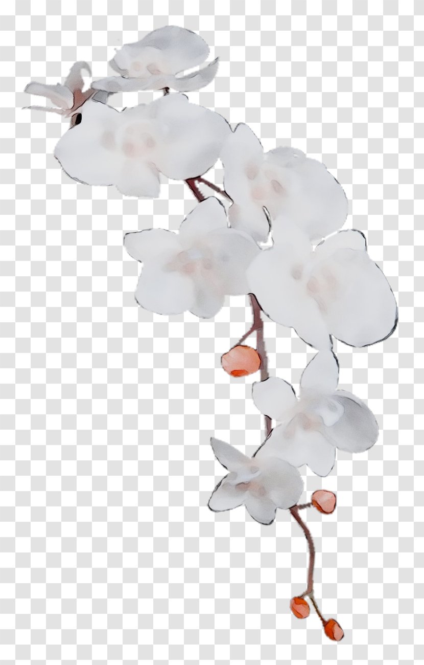 Moth Orchids ST.AU.150 MIN.V.UNC.NR AD Product Cherry Blossom - Cherries Transparent PNG