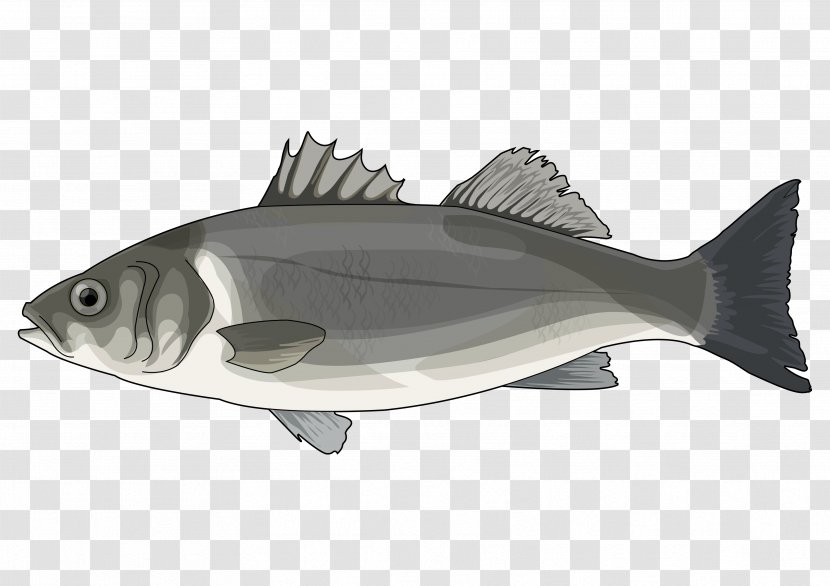 Cod European Bass Hake Oily Fish - PESCADO Transparent PNG