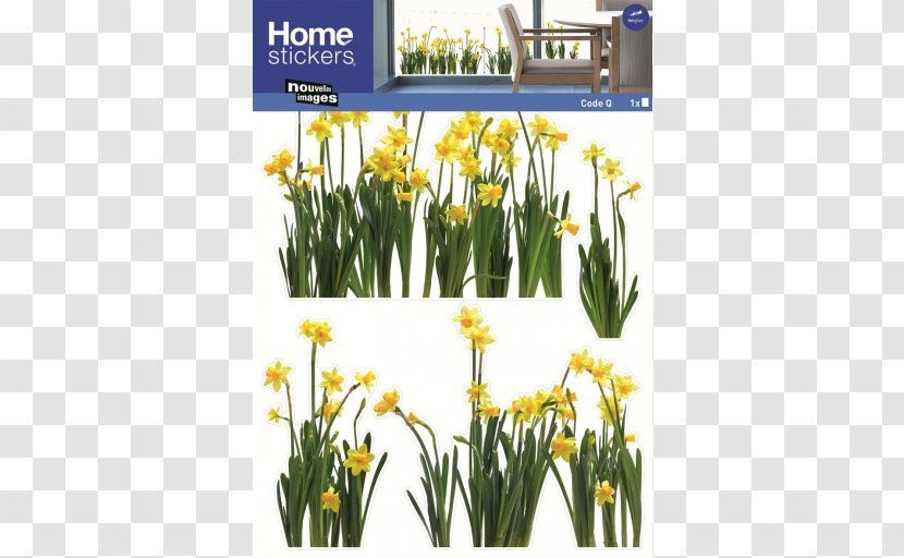 Window Sticker Wild Daffodil Decal Vitre - Firanka Transparent PNG
