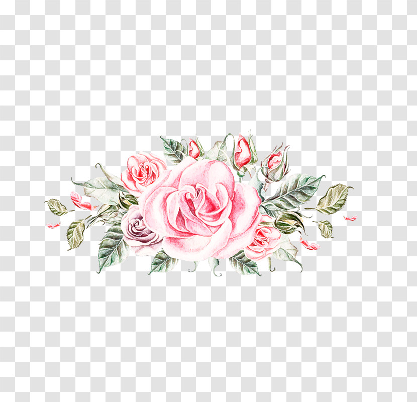 Garden Roses Transparent PNG